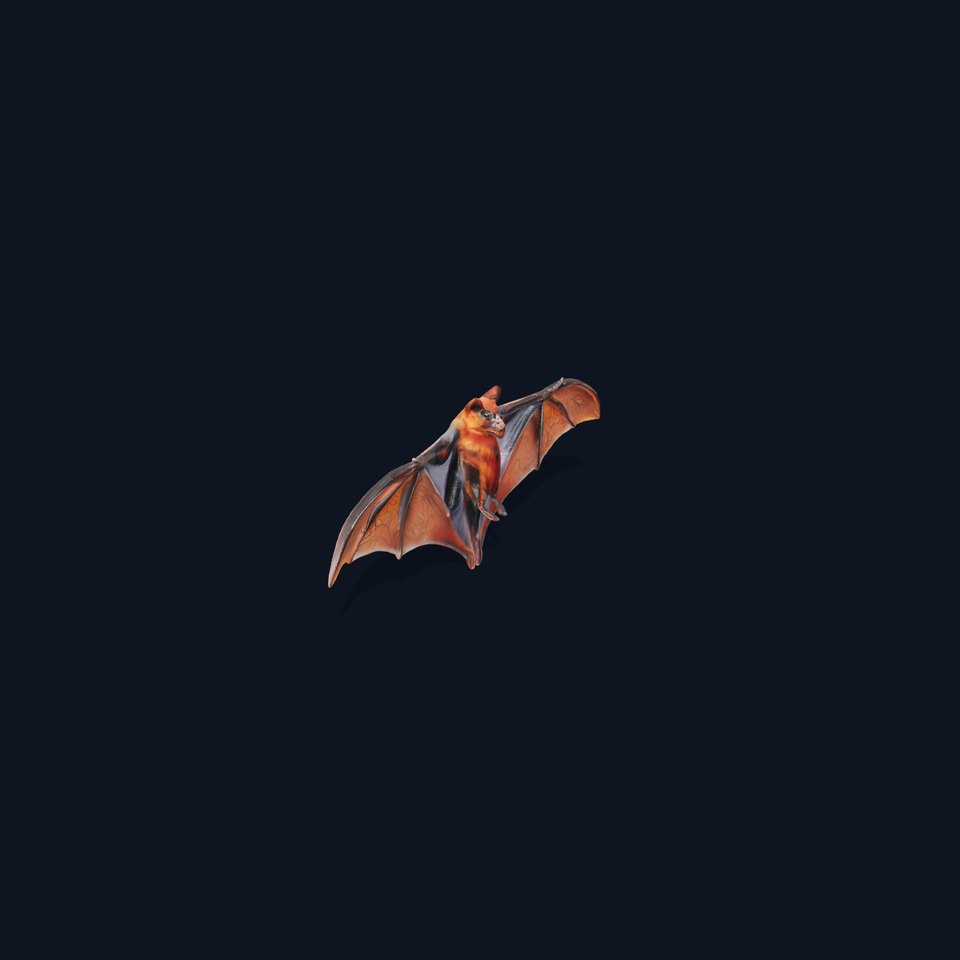 Golden Winged Bat model pack